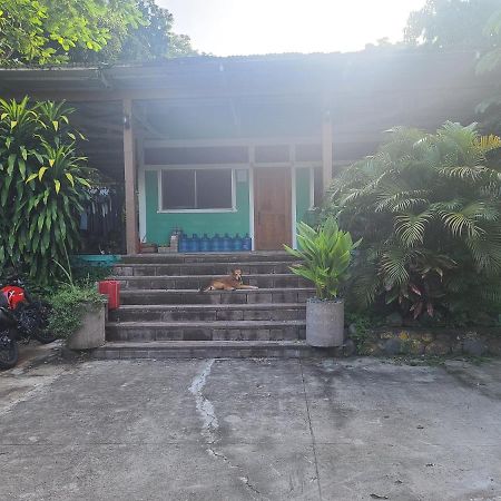Hammock Plantation Hostel El Zonte Ngoại thất bức ảnh