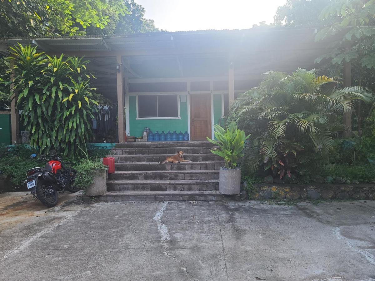 Hammock Plantation Hostel El Zonte Ngoại thất bức ảnh