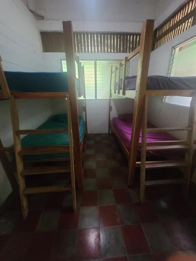 Hammock Plantation Hostel El Zonte Ngoại thất bức ảnh