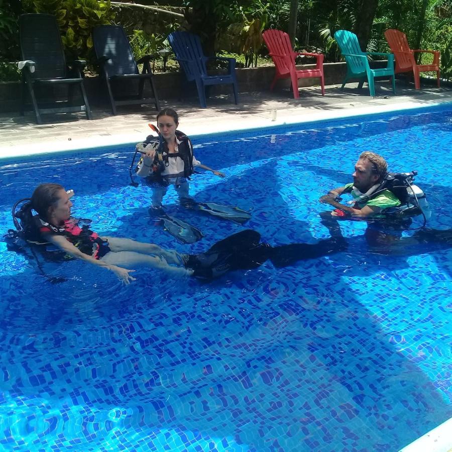 Hammock Plantation Hostel El Zonte Ngoại thất bức ảnh