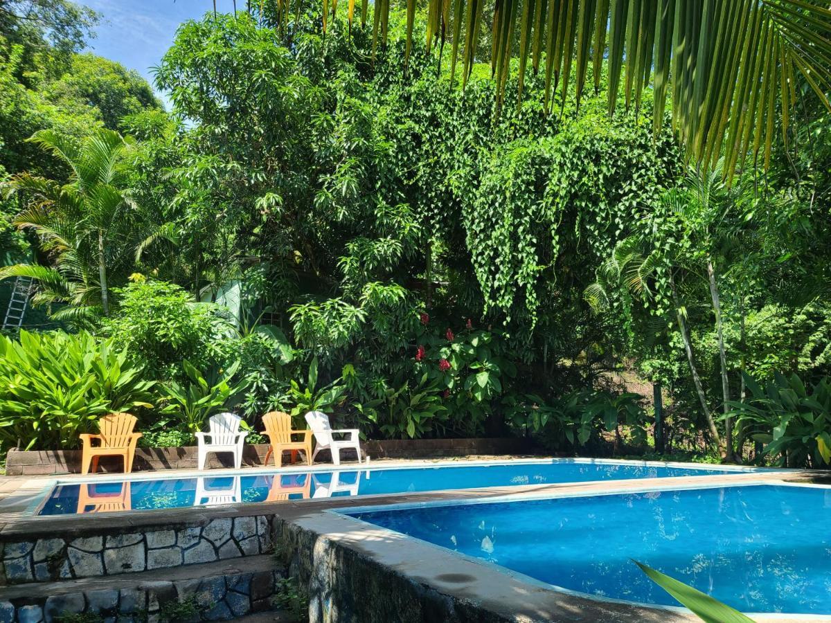 Hammock Plantation Hostel El Zonte Ngoại thất bức ảnh